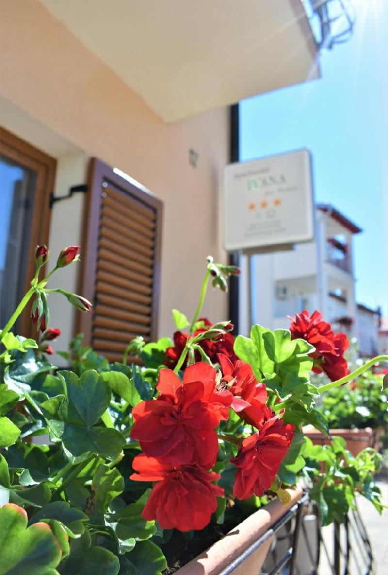 Apartments & Rooms Ivana โรวีน ห้อง รูปภาพ